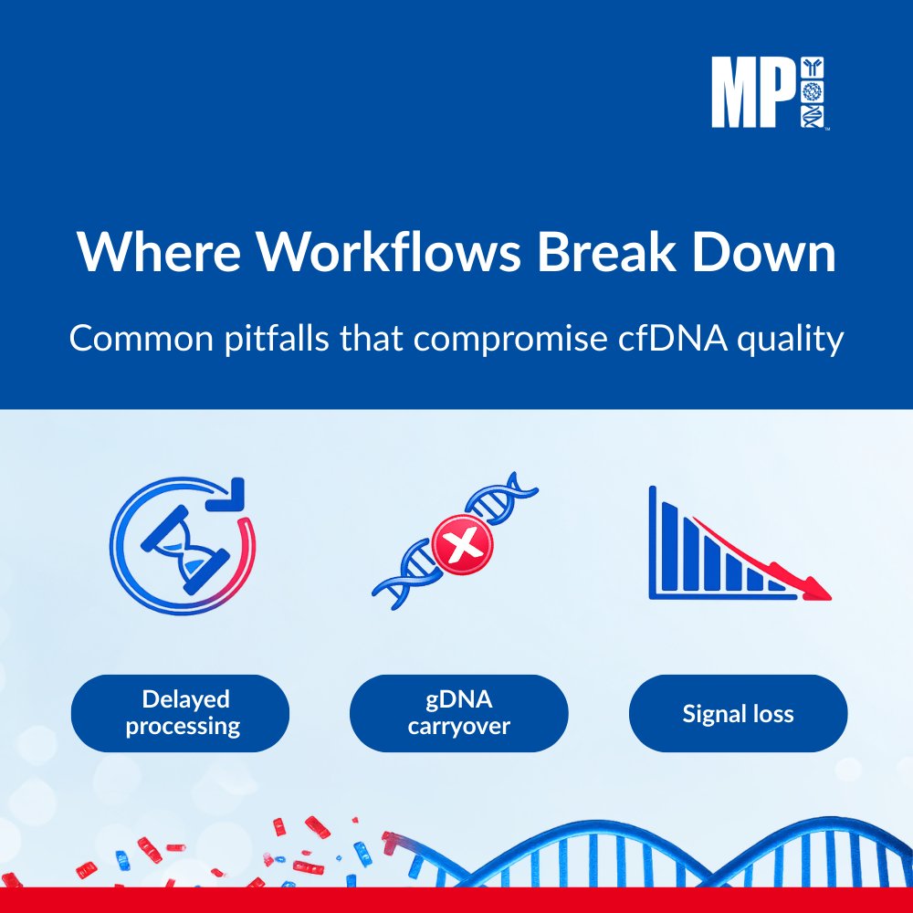 mpbiomedicals's tweet photo. 🧬Cell-free DNA (cfDNA) is low-abundance, highly fragmented, and sensitive to pre-analytics. Explore cfDNA vs gDNA differences, workflow pitfalls, and extraction approaches in our latest blog.
📖 Read the full cfDNA blog: https://t.co/mjbzuzBIg1
#cfDNA #gDNA #extraction #lifescience #magbeads #spineasy