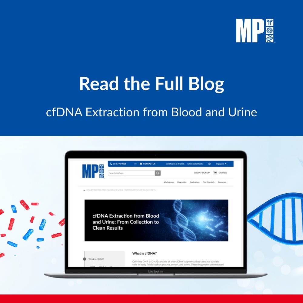 mpbiomedicals's tweet photo. 🧬Cell-free DNA (cfDNA) is low-abundance, highly fragmented, and sensitive to pre-analytics. Explore cfDNA vs gDNA differences, workflow pitfalls, and extraction approaches in our latest blog.
📖 Read the full cfDNA blog: https://t.co/mjbzuzBIg1
#cfDNA #gDNA #extraction #lifescience #magbeads #spineasy