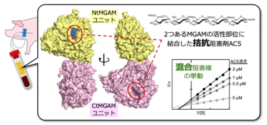 KEK 高エネルギー加速器研究機構 tweet media