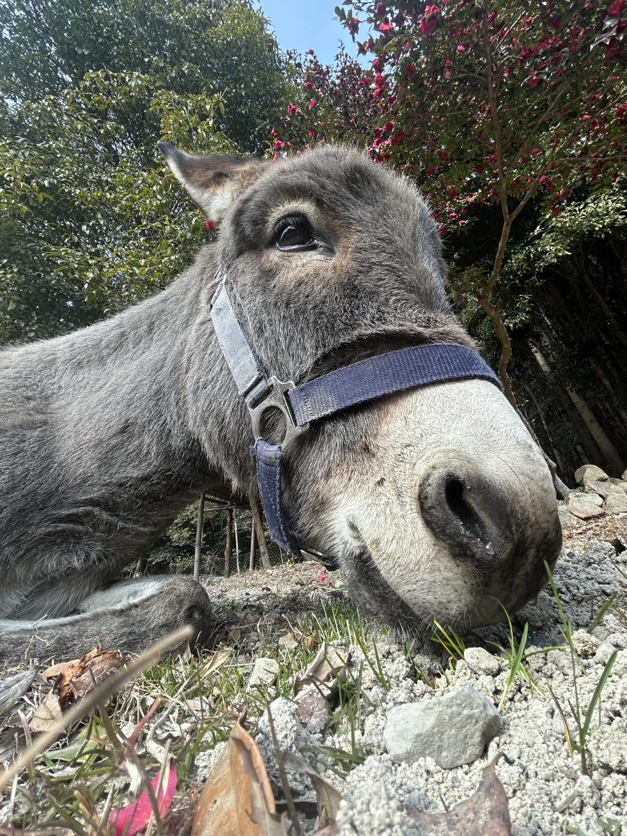 ツルキミ (@TJo95V15kl35013) / Posts / X