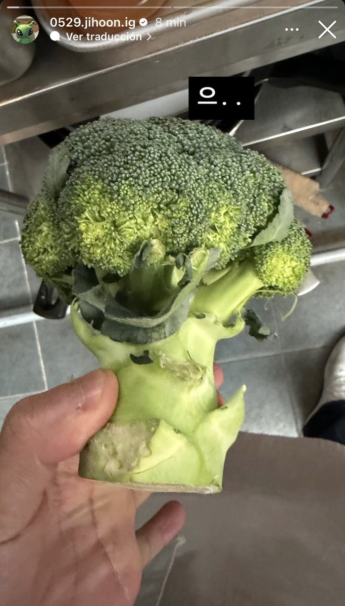 maymexico's tweet photo. 📌🐰 Jihoon comparte un momento cotidiano, al parecer tiene que lidiar una vez más con su rival 😂

Acompañó las fotos con: “Uhm… me ve y me saluda…”🥦

Síguelo:
IG: @0529.jihoon.ig/@official_parkjihoon
Tt: @0529.jihoon.official

#PARKJIHOON #YYentertainment #박지훈 #MAYMEXICO https://t.co/K4XnRtOXup