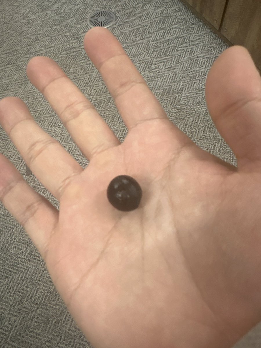 謎種が靴に挟まってた