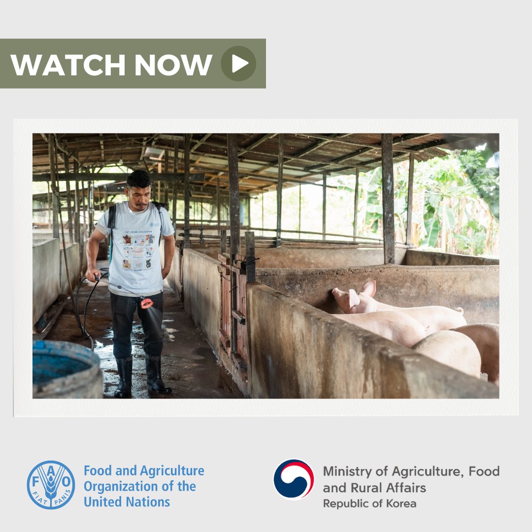 FAO Asia Pacific tweet media