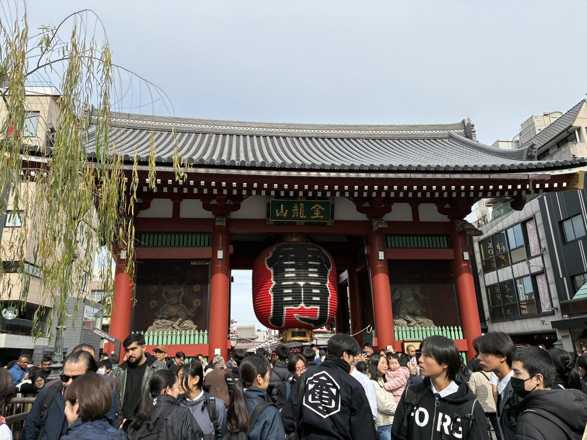 浅草に来ておる