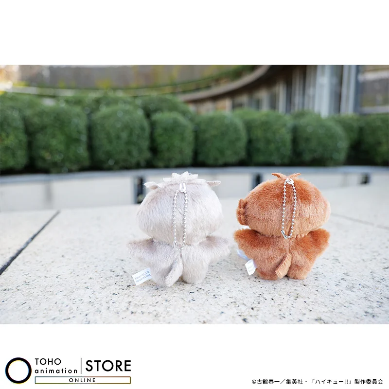 TOHO animation STORE ONLINE on X: 