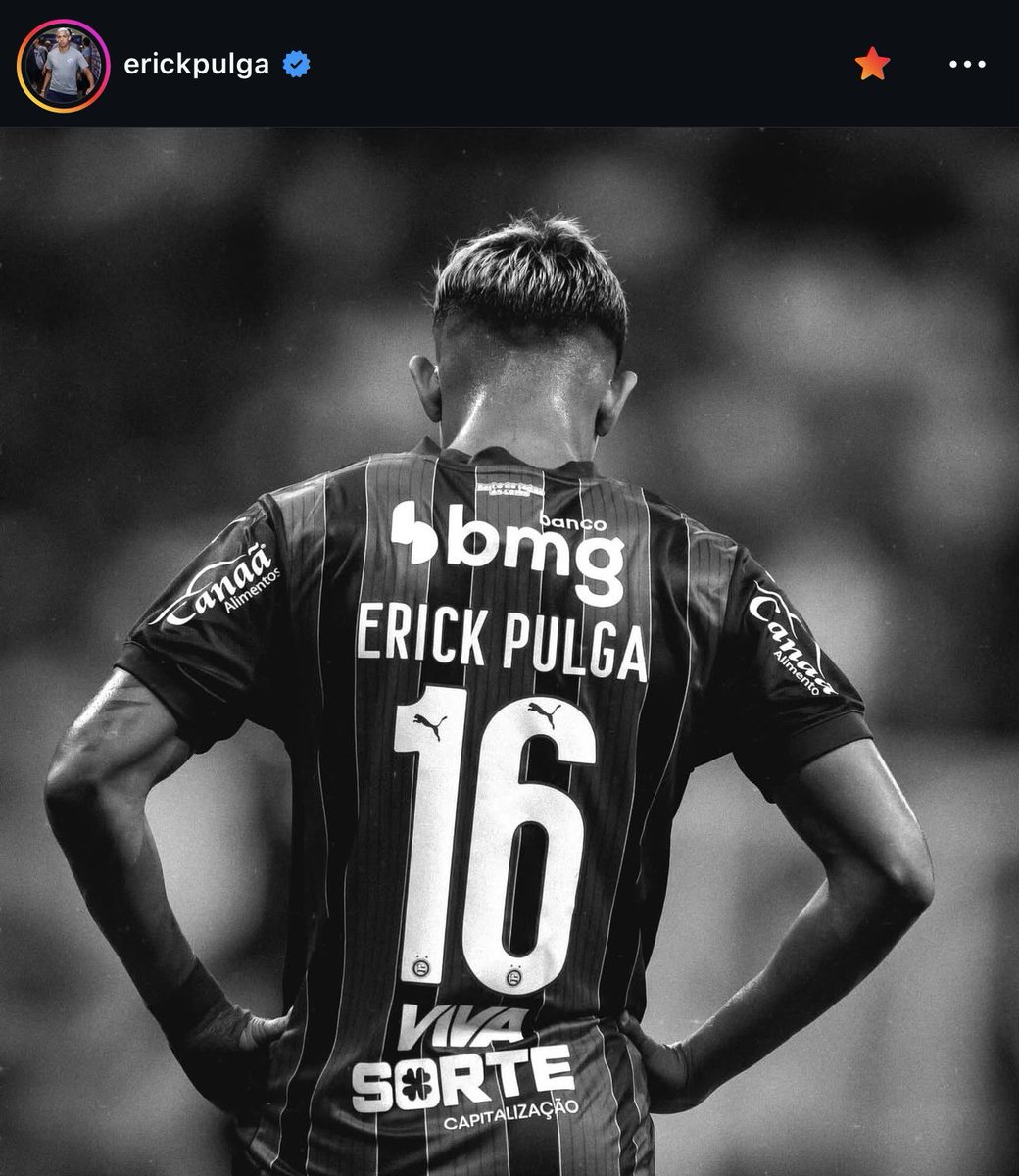 voudebahea's tweet image. Pulga via IG.