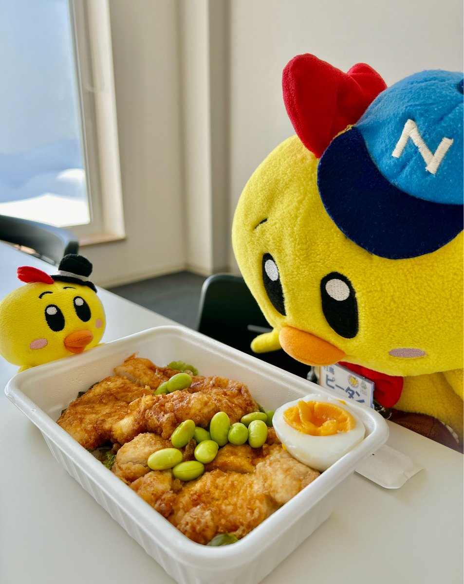 ピータンからお知らせ🐥📣

「千サルバトーレ12」の今シーズンの営業が始まったよ〜🎉🌈

てことでさっそく🤭
"アレ"くださーい！( ▔•ω•▔ )ｳｷｳｷ

\ ｼﾞｬｼﾞｬｰﾝ /
大好きなピータン丼ゲット‼️

ランチに行ける場所が増えて嬉しいな〜😆✨

#美味しかった
#中札内村 #道の駅 #14時まで営業