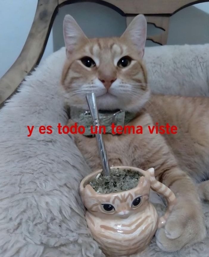 5 cosas que me gustan y un mutual que lo haga (si lo desea, particularmente no estoy apuntando con un arma a nadie)

1. Pokémon 🎮 
2. Libros (sobretodo policial) 📚
3. Películas 🎥
4. Ciencia 🧪 
5. Anime 🐙

<a href="/_Sauk_AraAra/">🇵🇪 Ara (Ran's Version)</a>  (lamento etiquetarte, no se me ocurrió otro mutual xD)