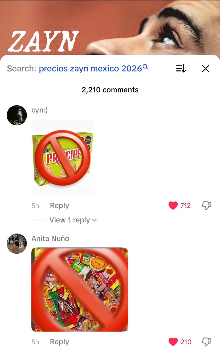 the top comments in zayn’s tour post on tik tok😭😭