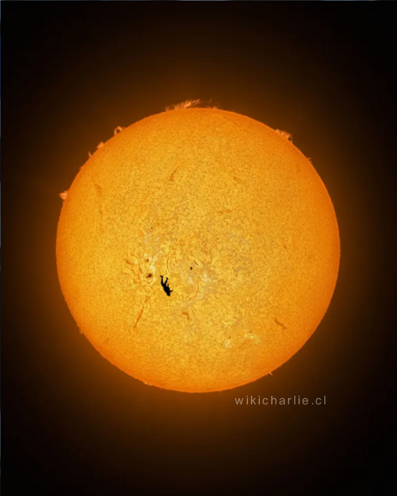 WikicharliE1's tweet photo. #Wikicharlie Impresionante imagen de un hombre en caída libre frente al Sol. Un astrofotógrafo capturó el momento en el que un paracaidista se arroja desde un avión y se alinea exactamente con el sol en su caída. https://t.co/tCppfjwu2D https://t.co/R2iY67KnfT