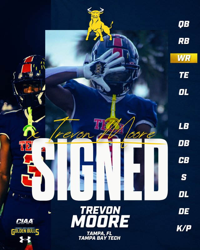 Golden Bulls tweet media