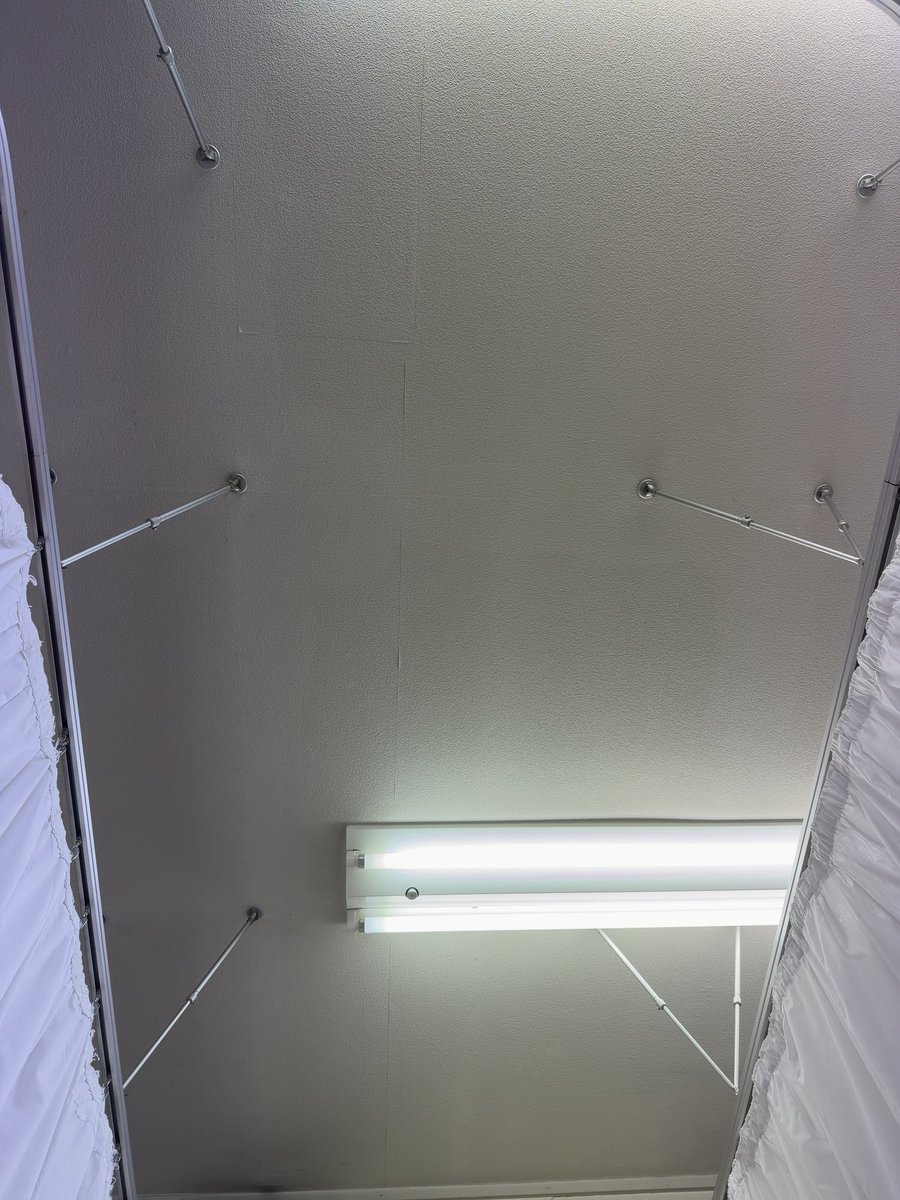 ゆーちゃん 🐕 ͗ ͗ tweet media