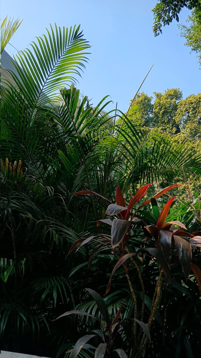 Ajay Kamalakaran tweet media