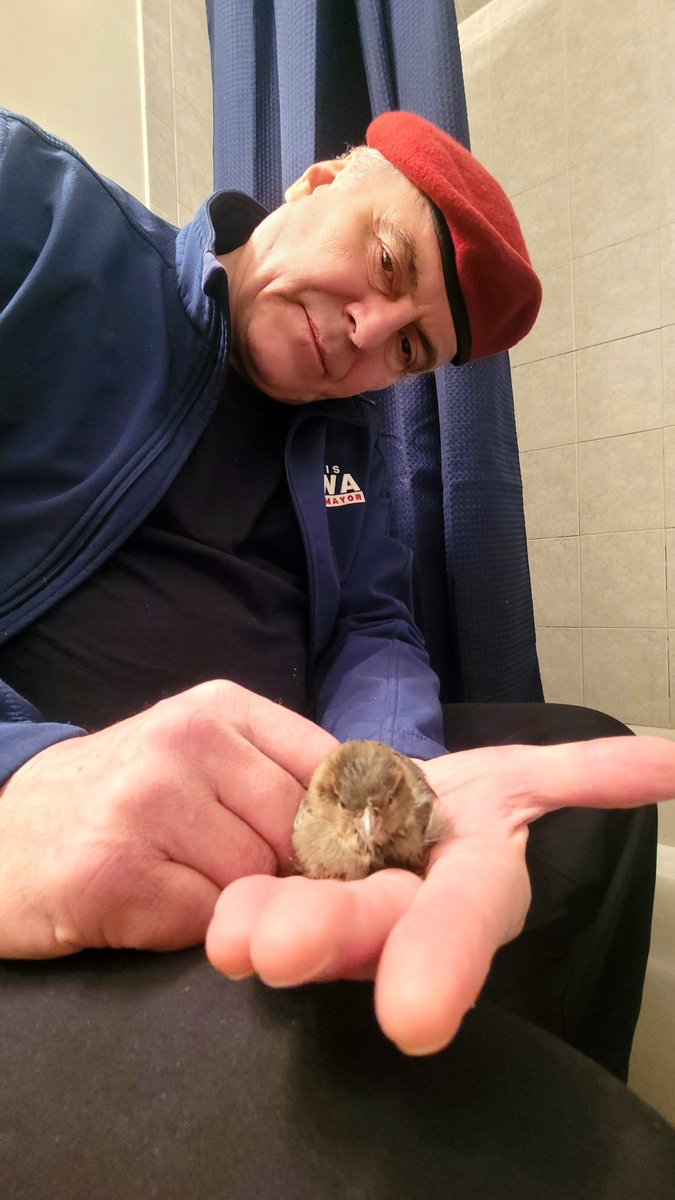 CurtisSliwa's tweet photo. In this Arctic Cold Humans and Animals continue to struggle to survive and sadly, many have perished. What often gets forgotten are the many birds who, while flying, have crashed into buildings frozen from moisture while others who feed from the sidewalks sadly eat instead the massive amount of rock salt spread onto the sidewalks that have been poisoned by it. The salt being spread is poisoning every bird and mammal that walks across it!

Nancy & I recently rescued a house sparrow paralyzed in the street. We brought it in our home & the heat served as an incubator for 4 days. We named her "Woodstock" after the Charlie Brown character.  Once she started to move, we brought her to The Wild Bird Fund Rehabilitation Center on Columbus Ave.  They do amazing work treating injured and sick birds.

And don't forget to look for birds in distress during this inclement weather.  Please provide bird seed and fresh water whenever possible.