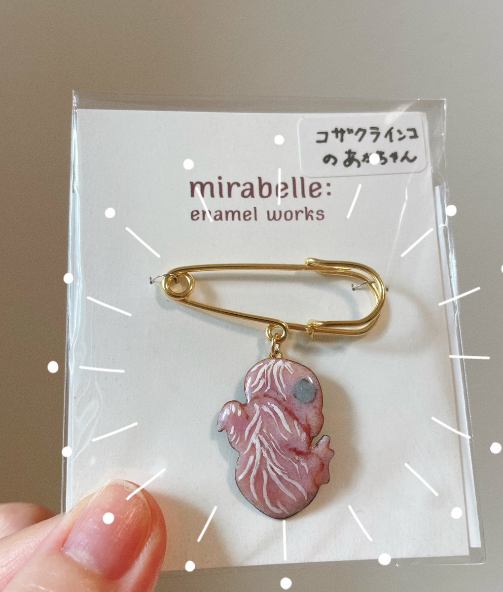 Q035 ✳︎鳥まみれのハンドメイド✳︎ (@ooo035ooo) / Posts / X