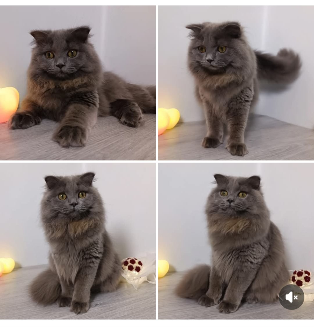 Jay 임용순 tweet media