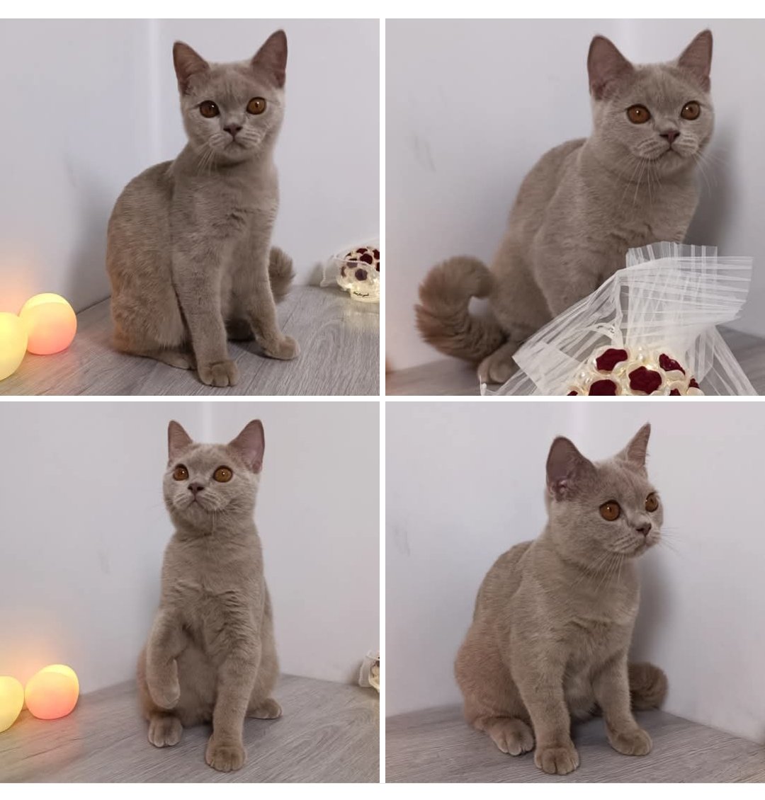 Jay 임용순 tweet media