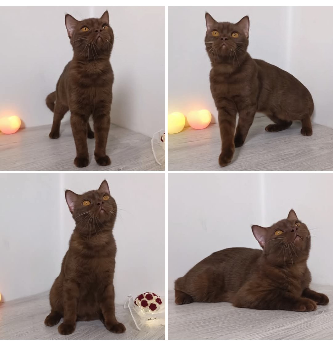 Jay 임용순 tweet media