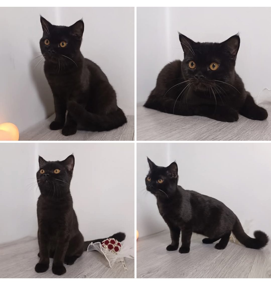 Jay 임용순 tweet media