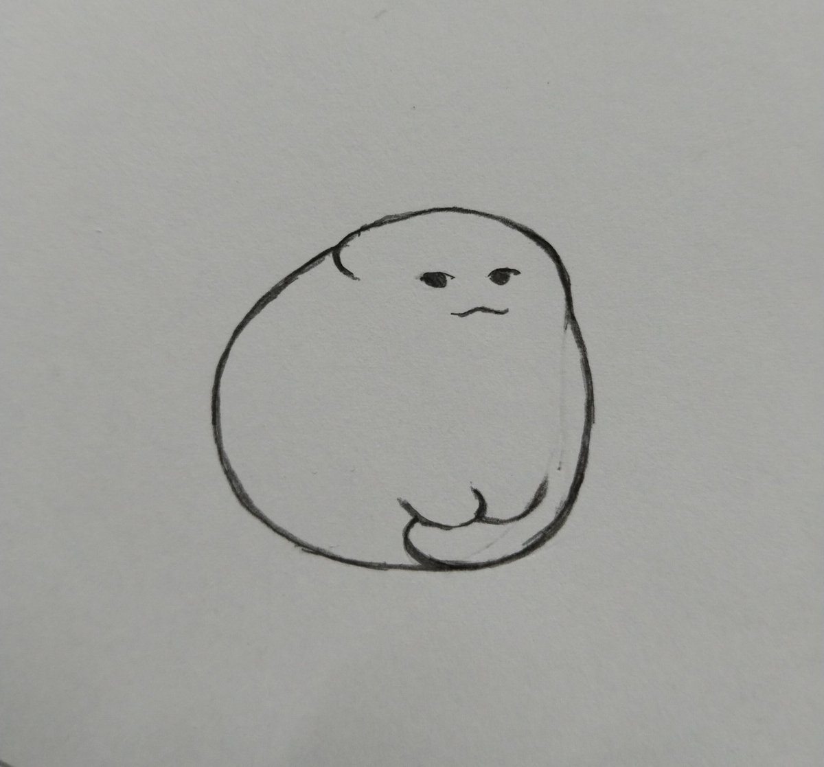 Fly high lil buddy🕊️