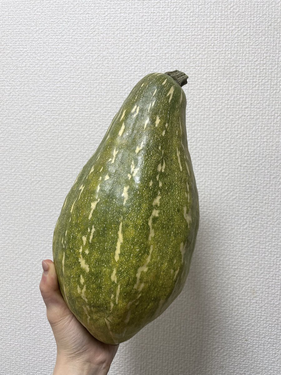 本日(2026/02/06)も、12時から23時まで営業いたします。

今日のフレーバーは、
濃厚ミルク
ホーキーポーキー
ジャンドゥーヤ
いちごみるく
マスカルポーネ
万次郎かぼちゃ
シチリアレモン
となっております。
ご来店お待ちしております。