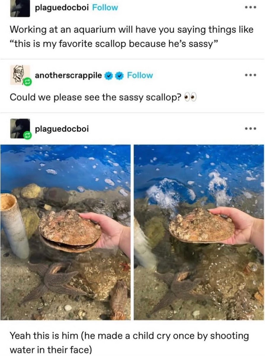 imagesaicouldnt's tweet image. 