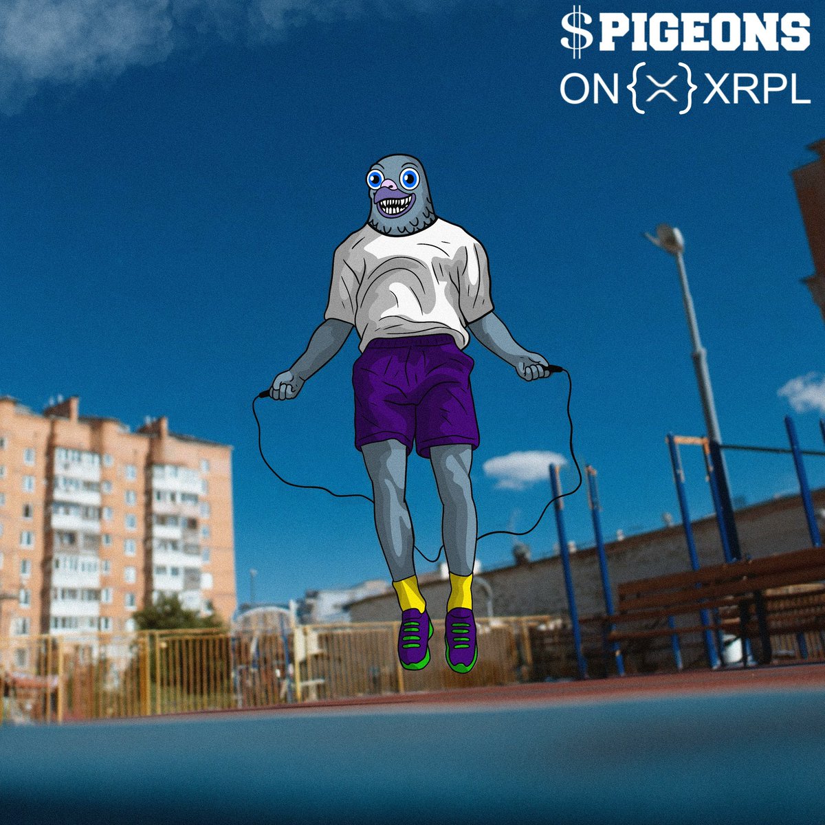 pigeons tweet media