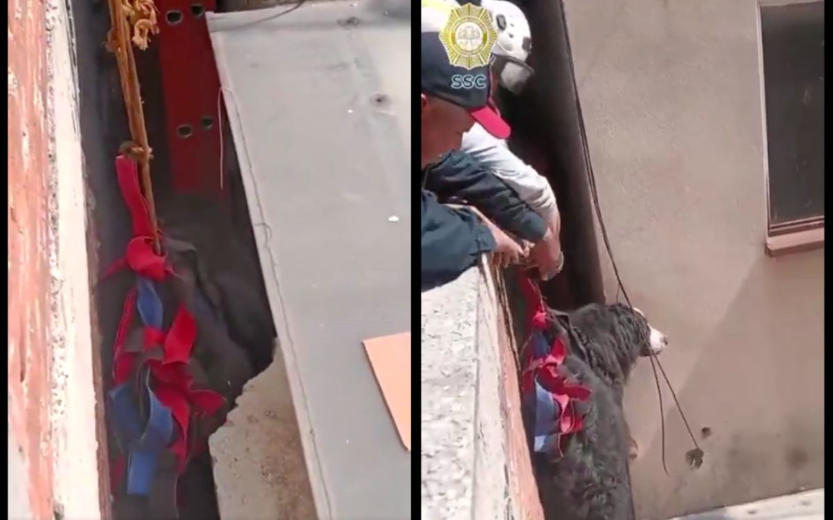 AristeguiOnline's tweet image. El incidente quedó registrado en video. Ocurrió en la colonia Del Valle de la Ciudad de México.
ow.ly/Nq0I50Y9KmG