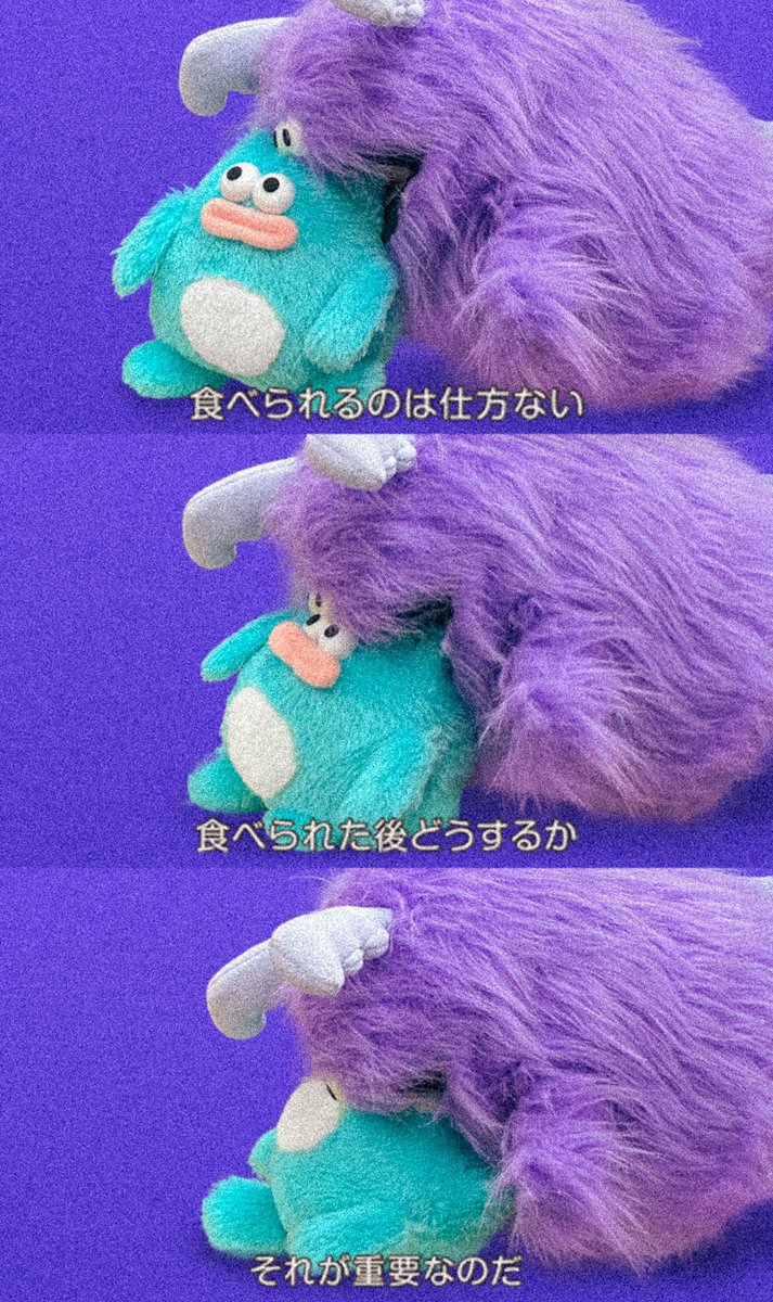 ホイッピ&ラッピ (@whippi_wrappi) on Twitter photo 