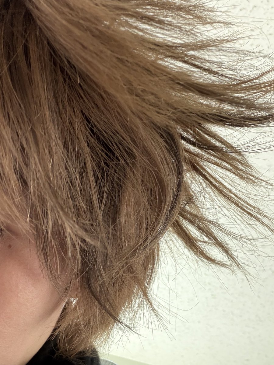 wwwwwwwいってきまーすwww