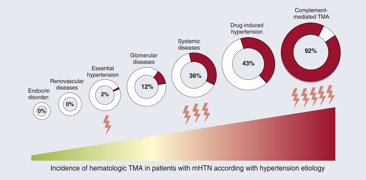 📖 This weekend don't miss our <a href="/Kidney_Int/">Kidney International</a> #ISNFridaySelection: Severe hypertension with thrombotic microangiopathy: the need for pathogenically targeted treatments kidney-international.org/article/S0085-…