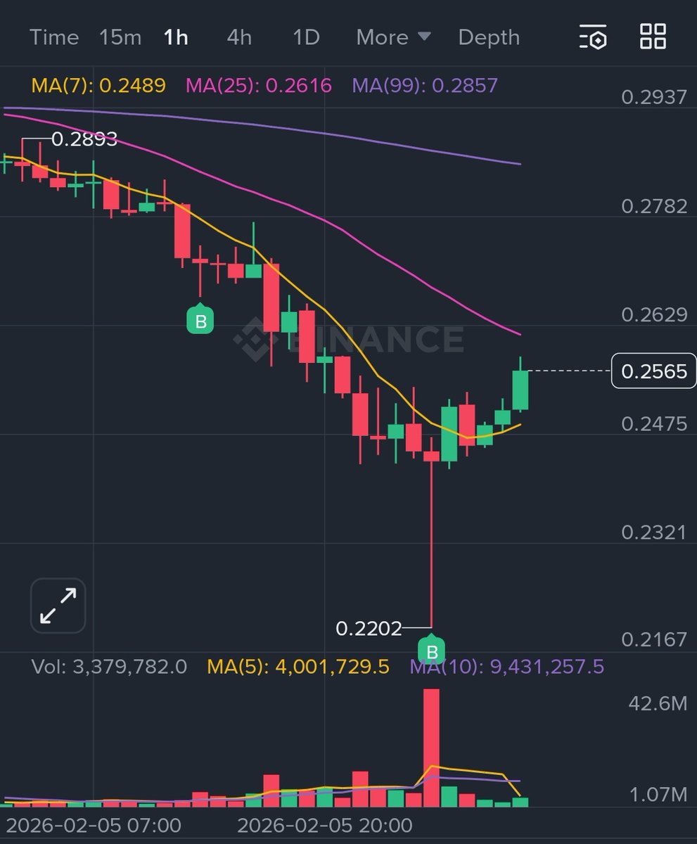 Carda Nostra tweet media