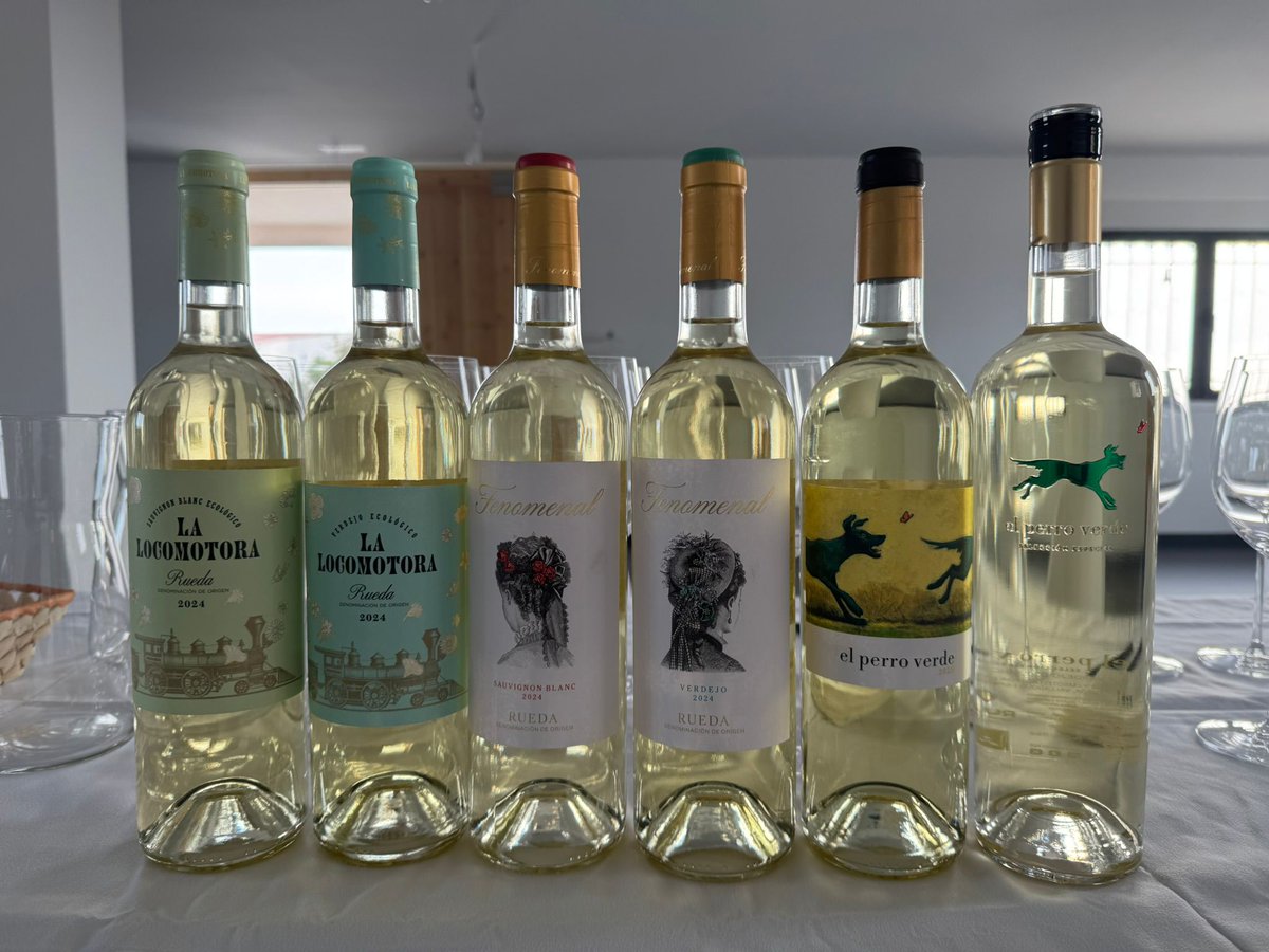 AmarzoaVV's tweet photo. Welcoming @BethWillard to @perroverde_  in @DORueda 🍇

Tasting new vintages of La Locomotora, @fenomenalrueda &amp; @perroverde_ and sharing insights together.
Find the results at @WineExpoParis, @DORueda stand 🍷

#PerroVerde #DORueda #Verdejo #WineParis #SpanishWine https://t.co/6bG5DSsD0t