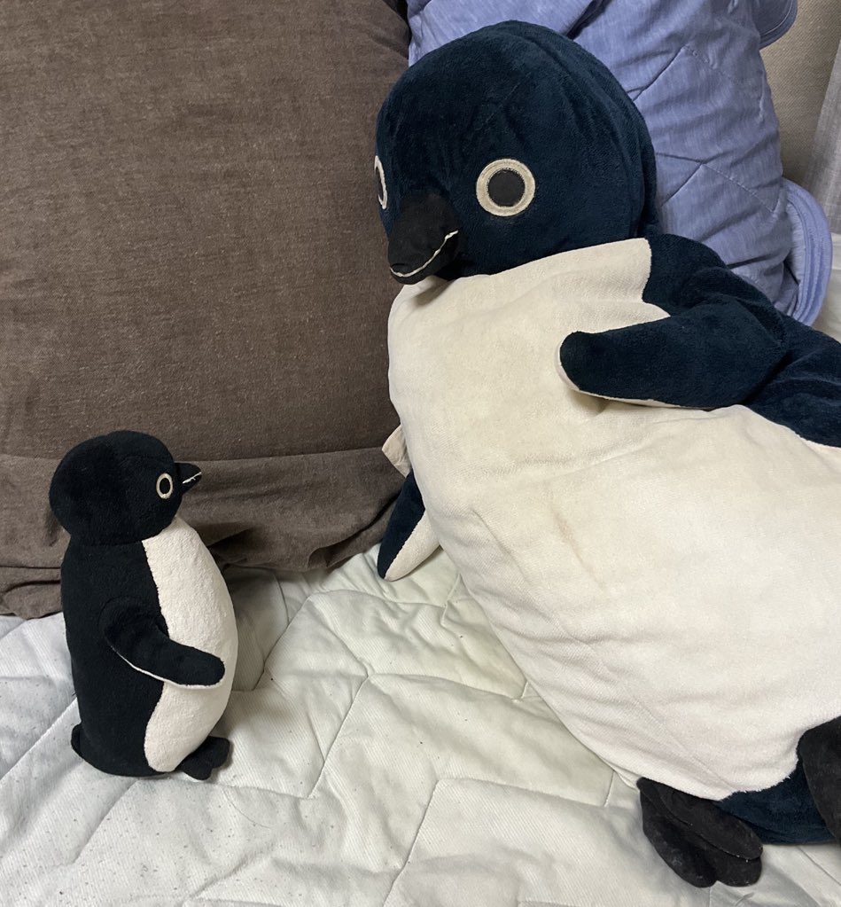 ☆ペンギン☆ (@penguin00000001) / Posts / X