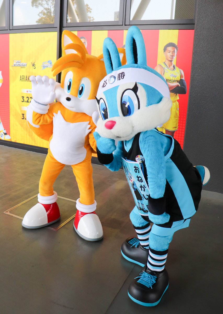 ろびん(Robin) tweet media