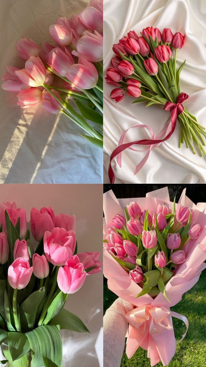 Tulips Library (@tulipslibrary) on Twitter photo 