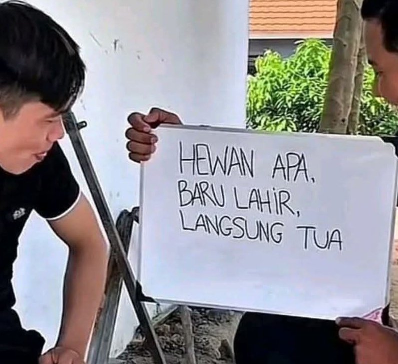 Ketawa itu GRATIS 🛩 tweet media