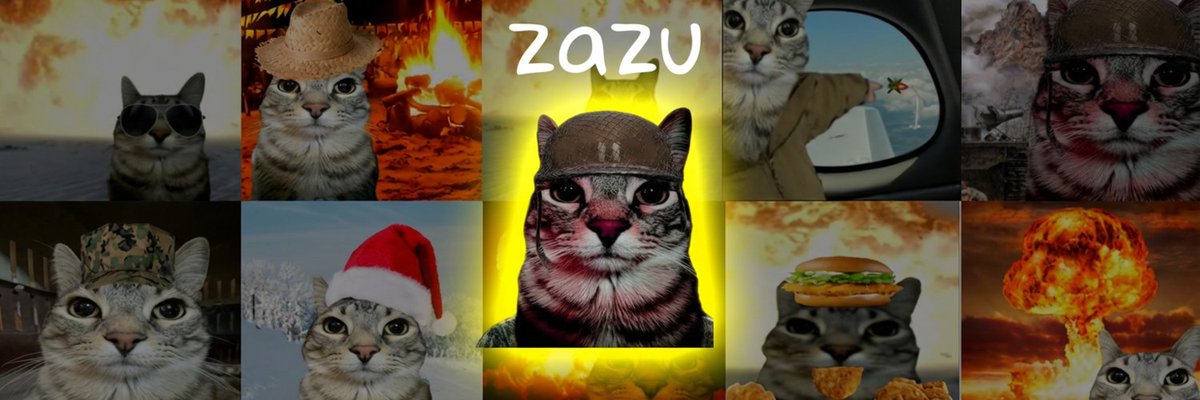 zazu (@thezazusol) / Posts / X