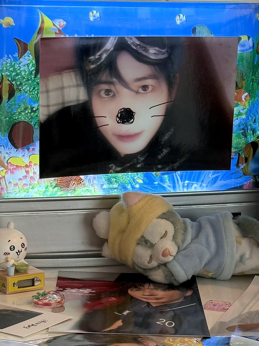 둘째날도 오픈 완료🐾🖤🐈‍⬛