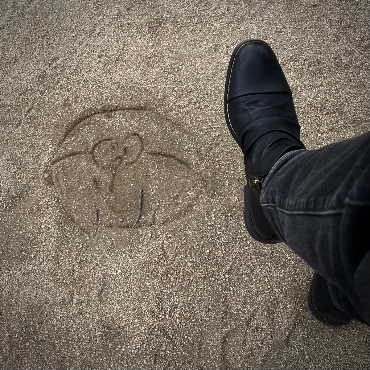 今日は新しい靴で来た🌟