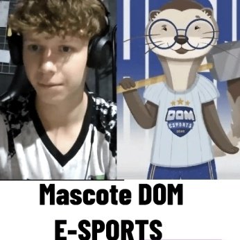 Donatello 🐢👑 tweet media