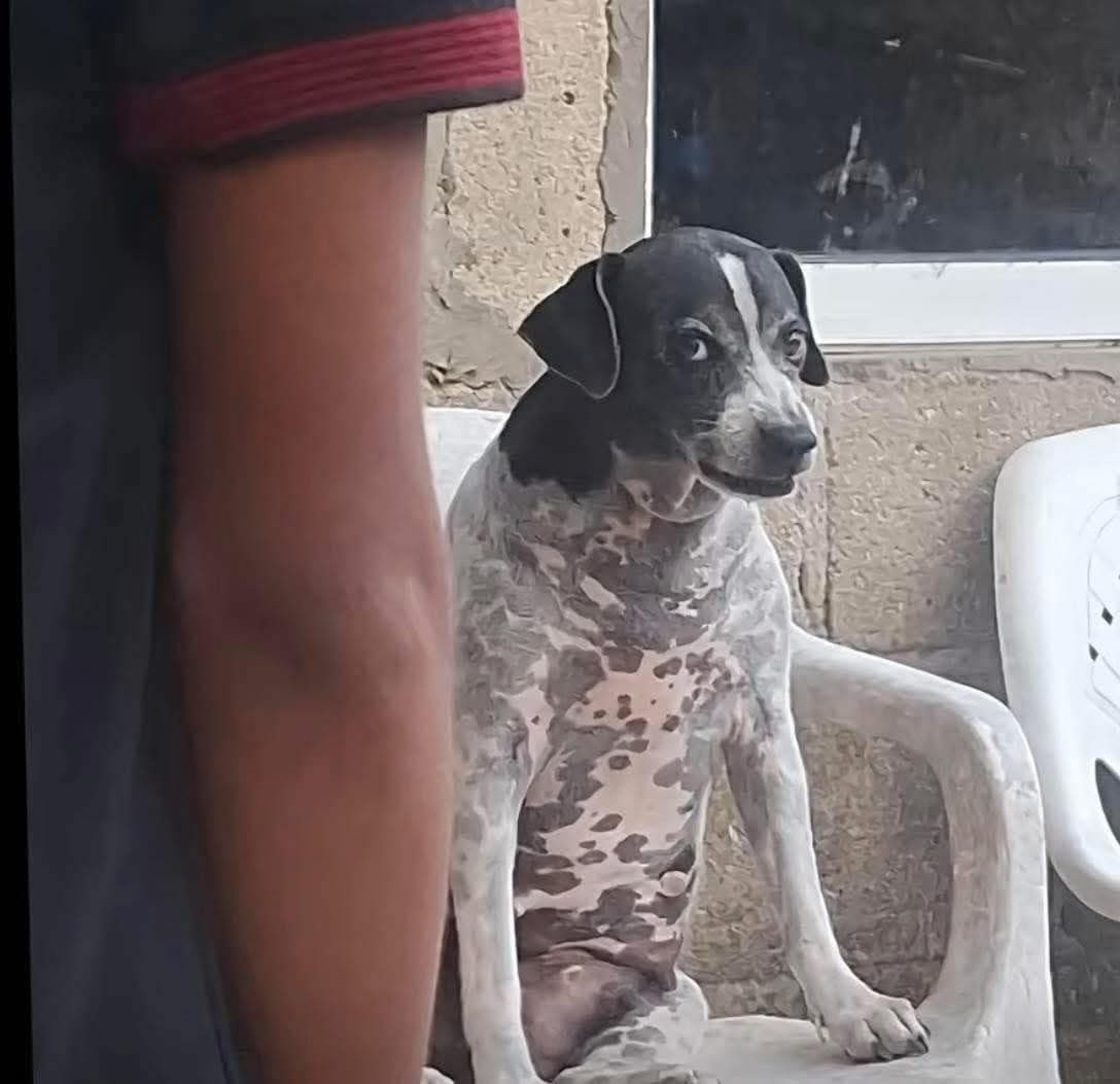migangelgarzam's tweet photo. Mi cara cada vez que escucho “TurboThembi”. https://t.co/6gjapQfMK5