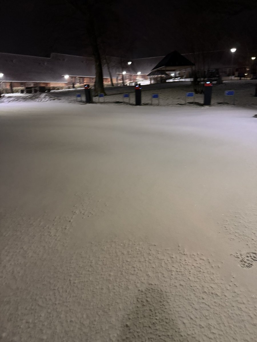 Leave me alone stupid snow
