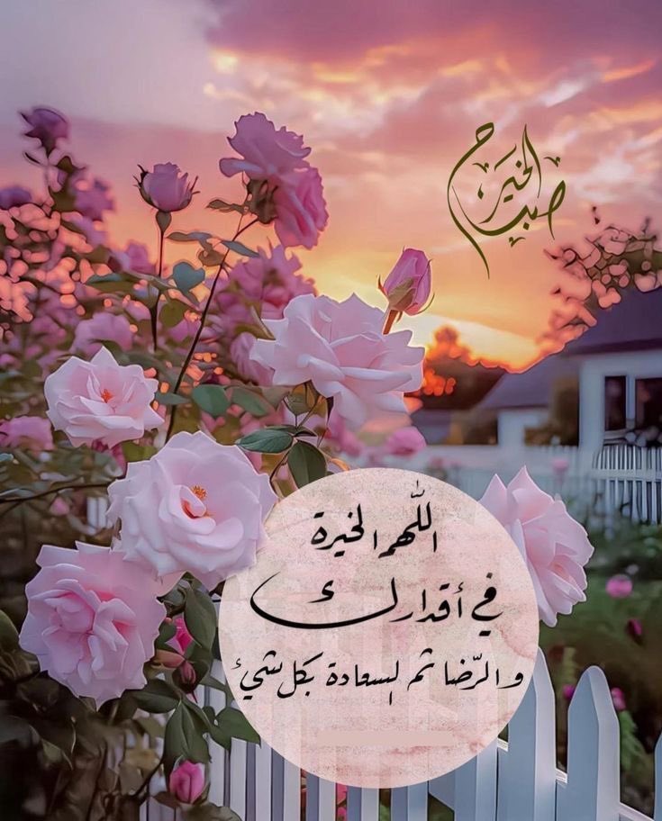 fozz_1234's tweet photo. :

:

::

“اللهم اجعل لنا في يوم الجمعة 
دعاءً لا يُرد .. ورزقاً لا يُعد .. وافتح لنا باباً إلى الجنة لا يُسد ."
اللهمَّ بلِّغنا رمضان ونحن في أحسن حال🤲🏻

#صباح_الخيرᅠ ..✨🤍🌸
 #يوم_الجمعة https://t.co/XwbJuaz6sB