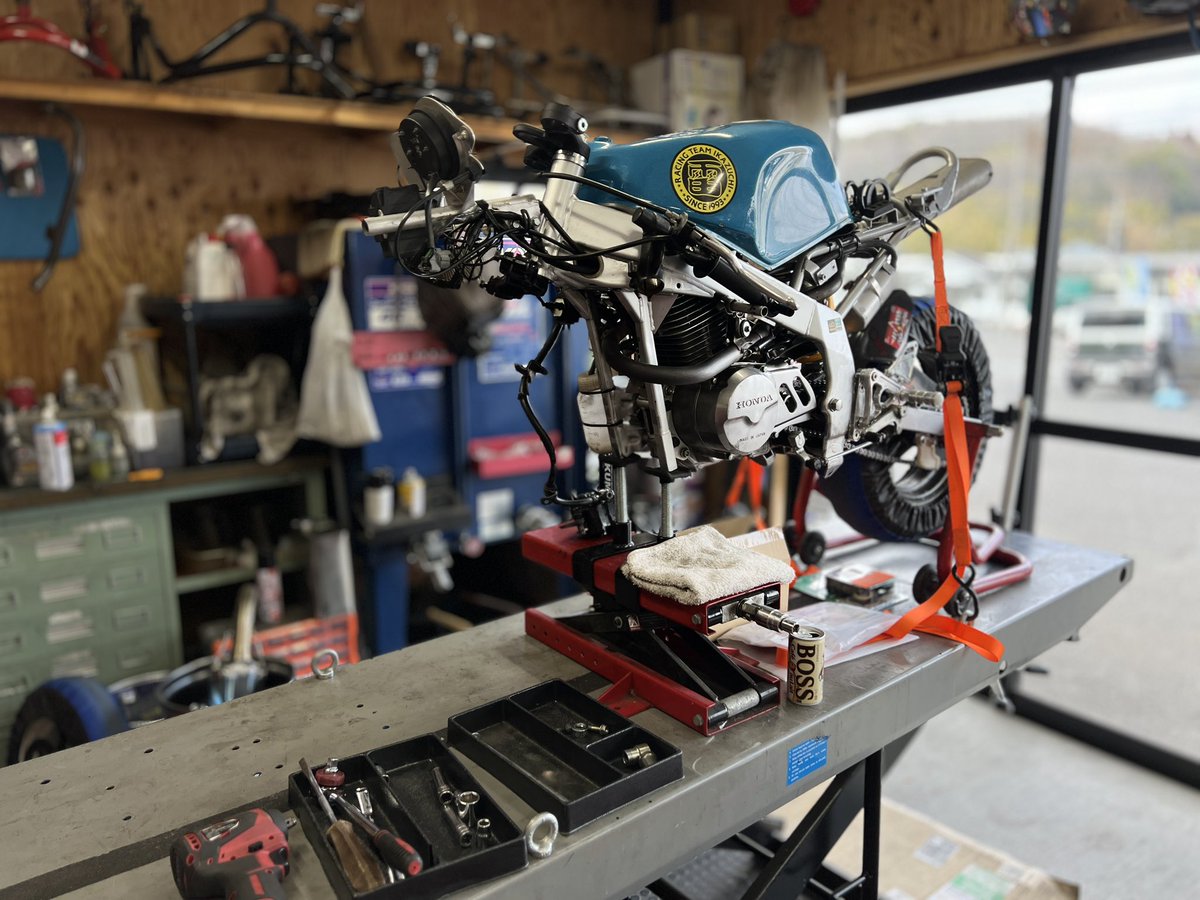 よろしくお願いいたします‹‹(´ω` )/››！！！