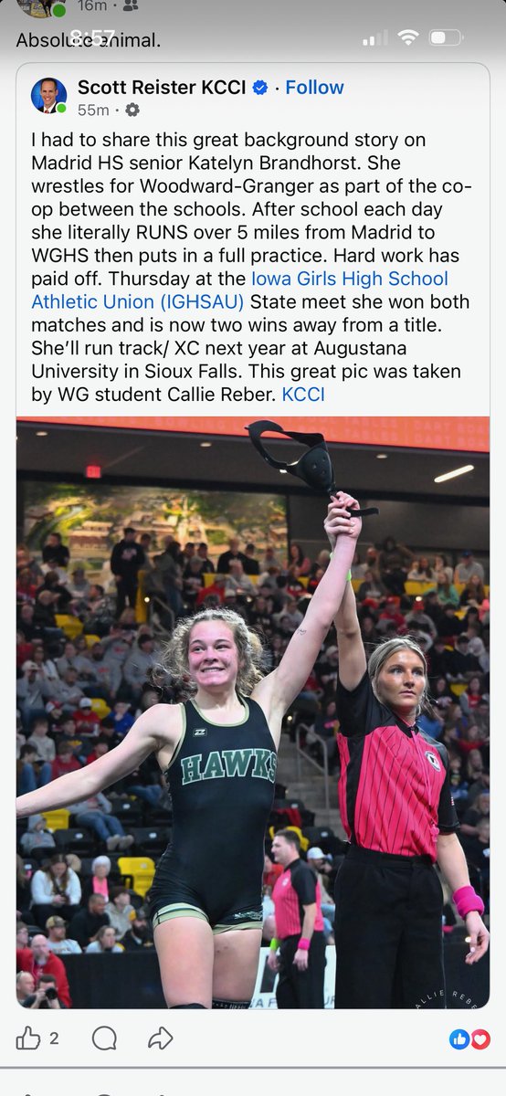 Madrid Tiger Pride tweet media