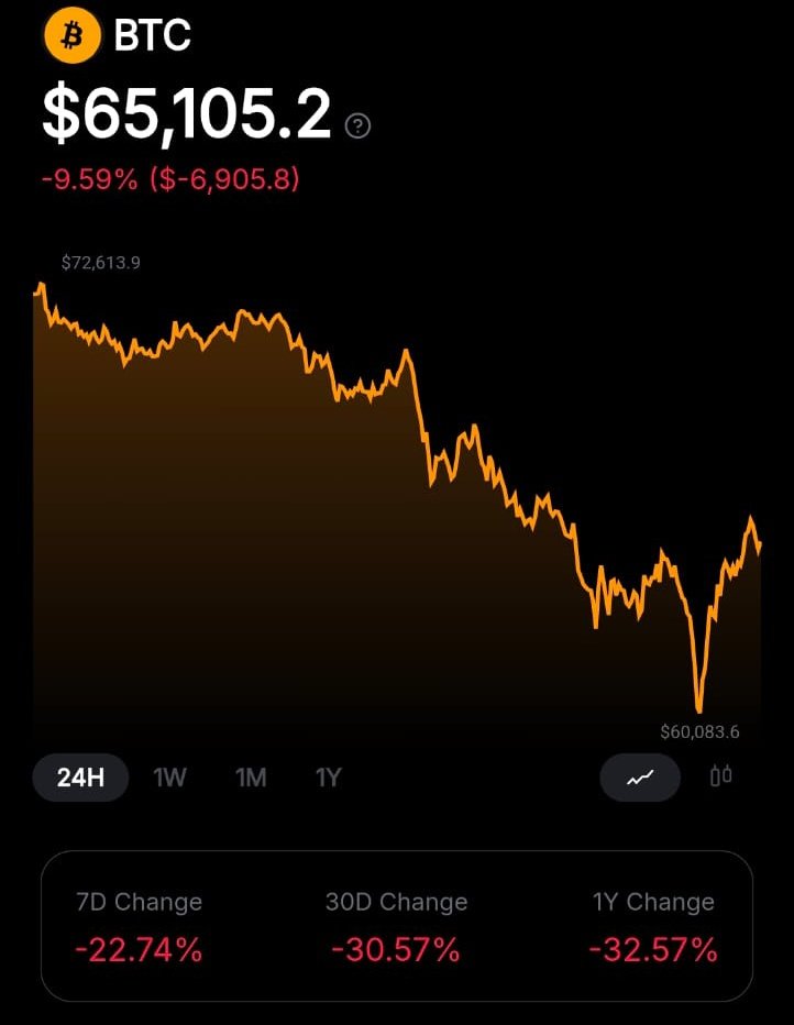 WOLF x VISION tweet media