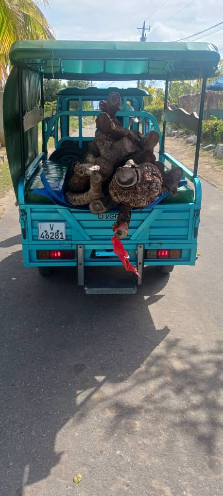 La empresa Flora y Fauna busca soluciones a las tareas planteada ,se traslada madera para la cocina de las escuelas primaria,con alternativa de triciclo familiar.#SiSePuede #SentirPinero #CubaResistirayvencera.