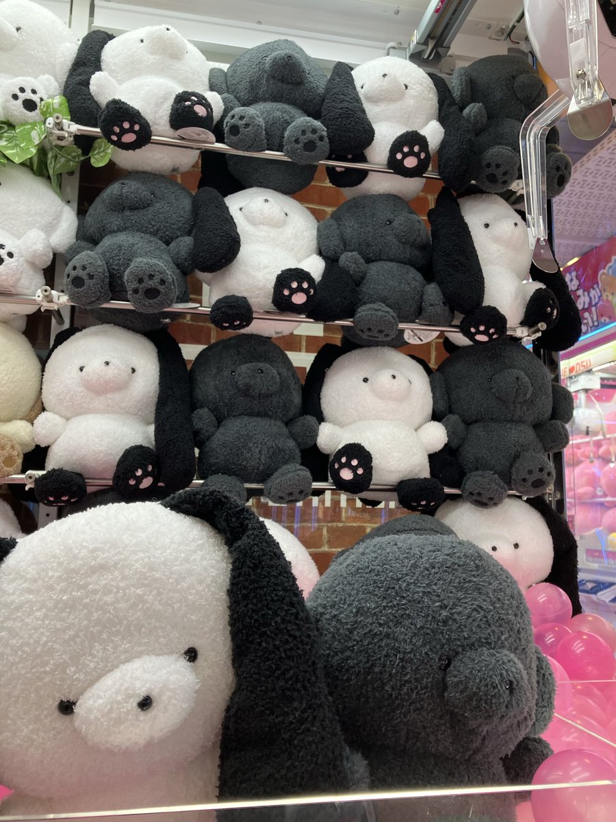 いのち屋 (@inochi_ya) / Posts / X