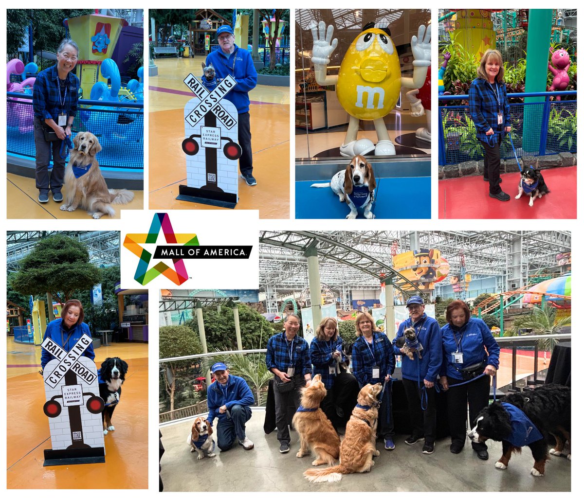 North Star Therapy Animals of Pet Partners tweet media